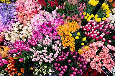 RPG新作《渴望求婚者》公布 11月3日发售